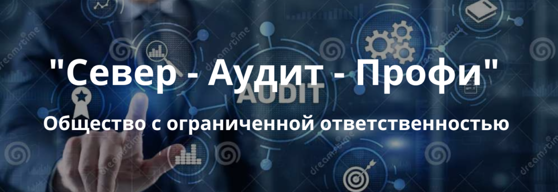 Север — Аудит — Профи
